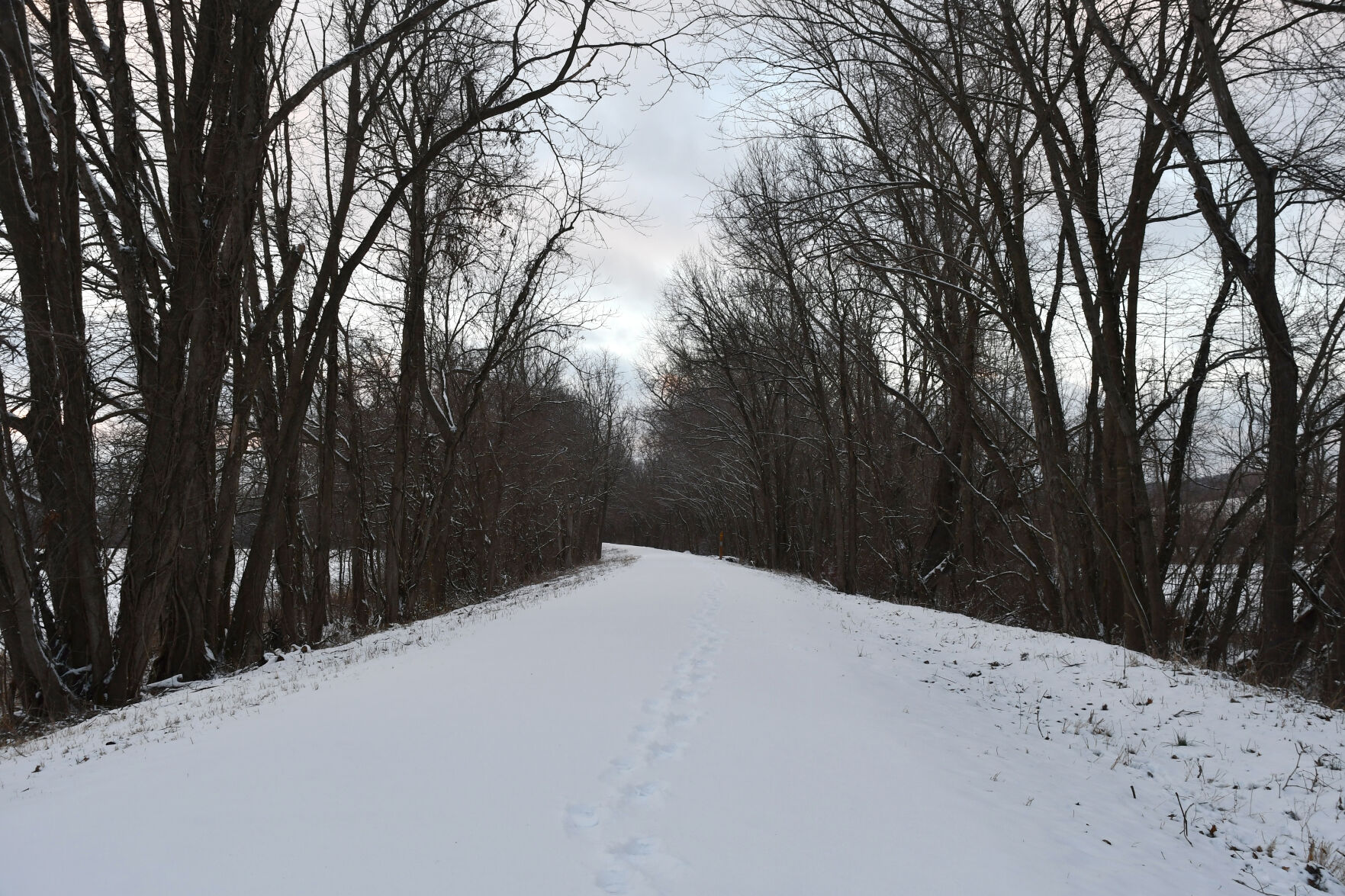 Snow covers the Katy Trail